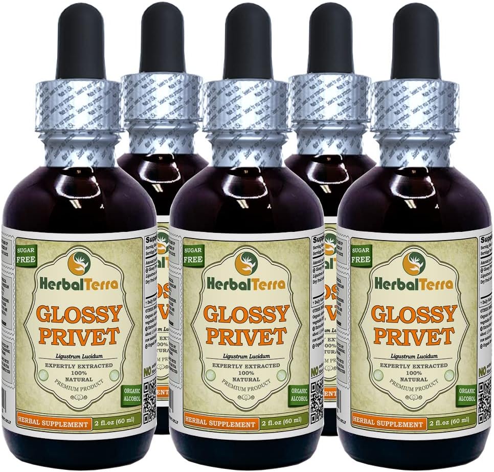 Glossy Privet (Ligustrum Lucidum) Tincture, Organic Dried Fruits Liquid Extract (Brand Name: HerbalTerra, Proudly Made in USA) 5x2 fl.oz (5x60 ml)