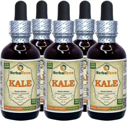 Kale, Red Spiderling (Brassica Oleracea) Dried Leaf Liquid Extract (Brand Name: HerbalTerra, Proudly Made in USA) 5x2 oz