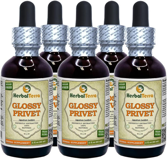 Glossy Privet (Ligustrum Lucidum) Tincture, Organic Dried Fruits Liquid Extract (Brand Name: HerbalTerra, Proudly Made in USA) 5x2 fl.oz (5x60 ml)