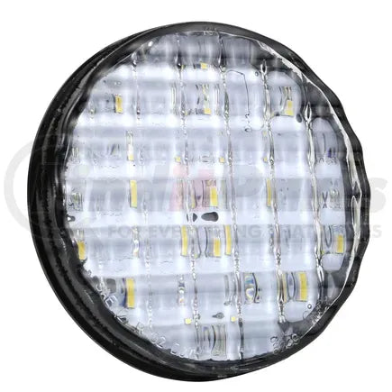 Grote 62391 - Backup Lamp - 4&quot; Clear, Supernova LED, 2-Lamp System